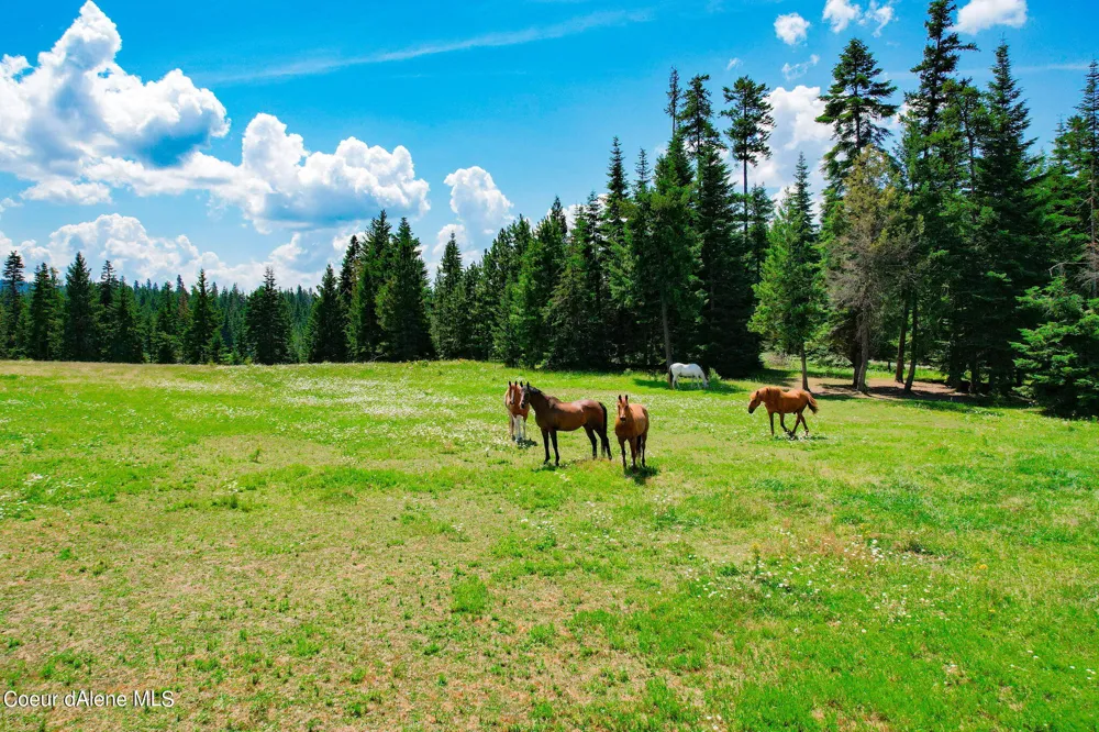 5939 E Burma Road Harrison, ID 83833