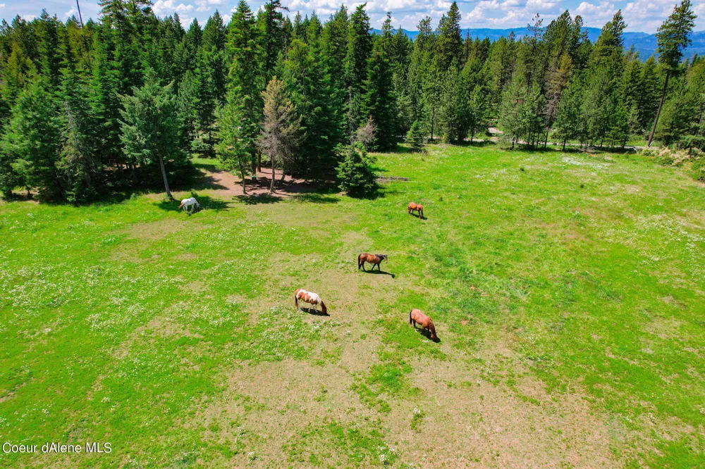 5939 E Burma Road Harrison, ID 83833