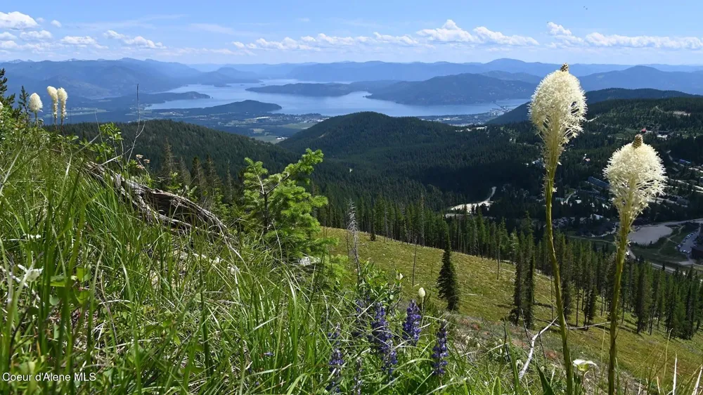 169 Crystal Springs Rd. #501 Sandpoint, ID 83864