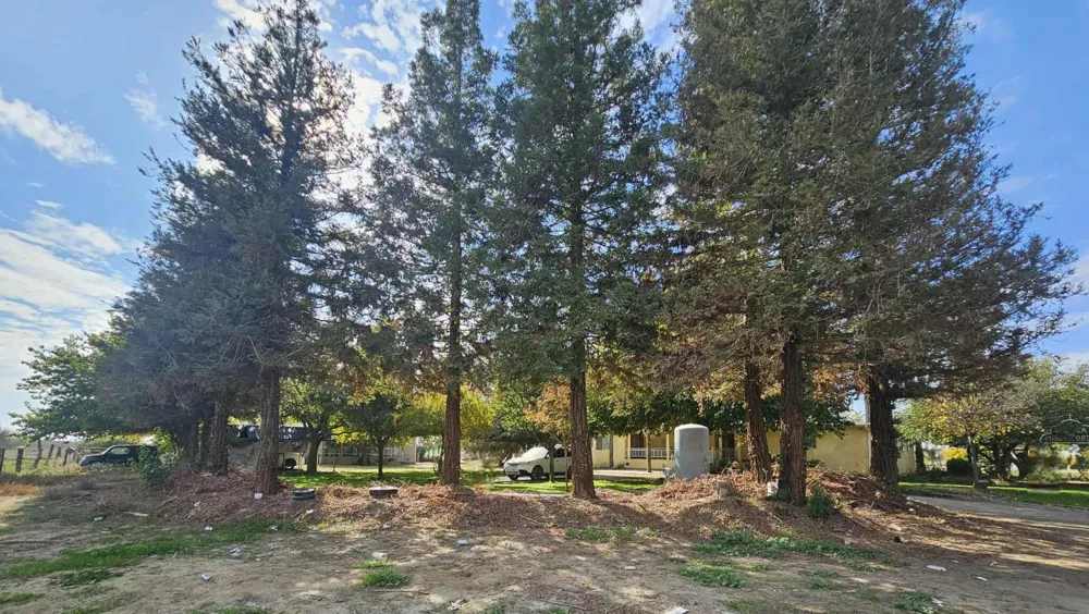 14398 Avenue 88 Pixley, CA 93256