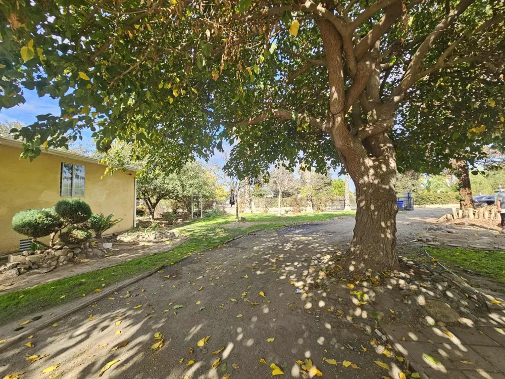 14398 Avenue 88 Pixley, CA 93256