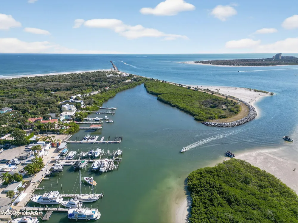 61 Beverly Hills Avenue Ponce Inlet, FL 32127