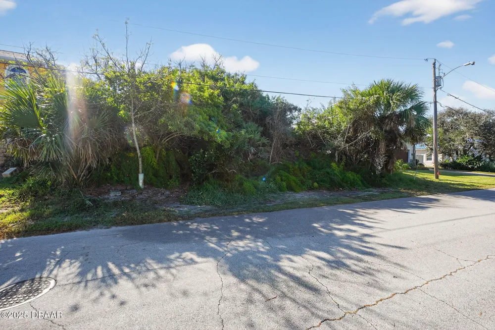 61 Beverly Hills Avenue Ponce Inlet, FL 32127