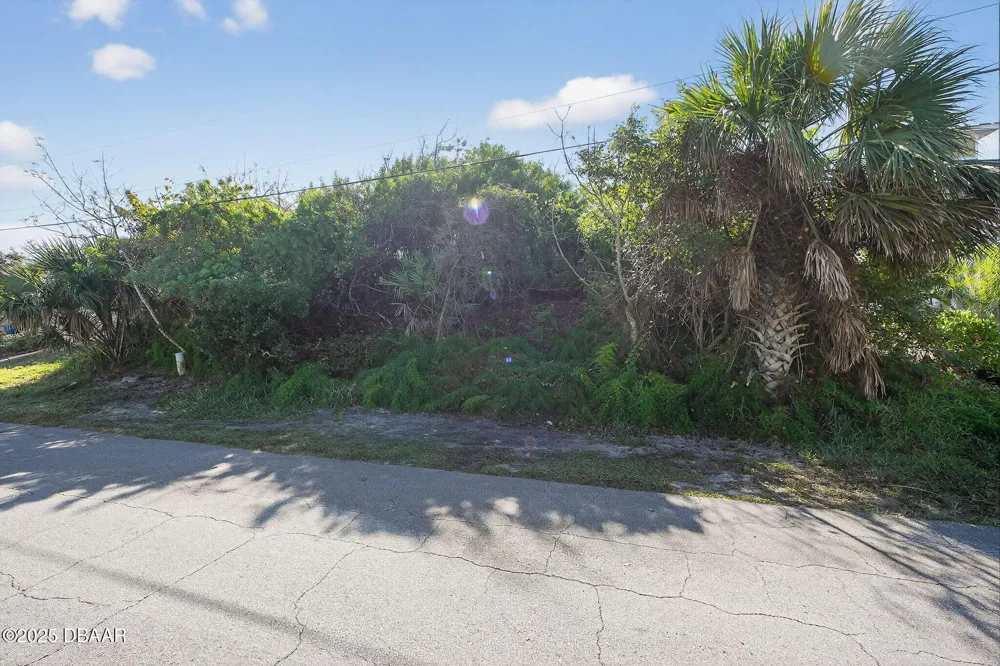 61 Beverly Hills Avenue Ponce Inlet, FL 32127