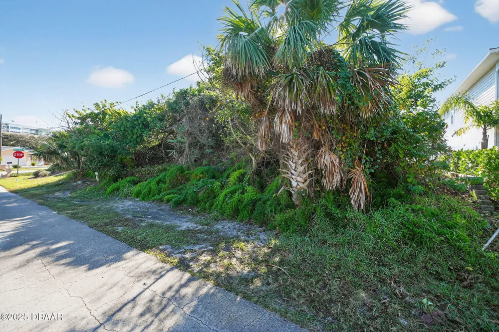 61 Beverly Hills Avenue Ponce Inlet, FL 32127