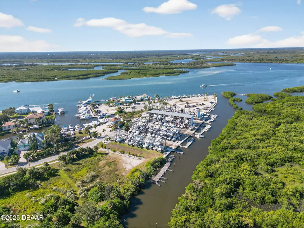 61 Beverly Hills Avenue Ponce Inlet, FL 32127