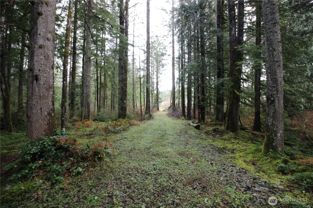 0 364th Avenue SE #9039 Maple Valley, WA 98038