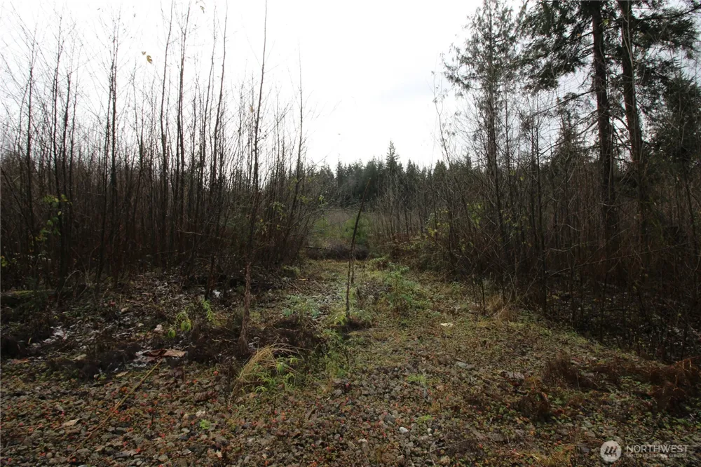 0 364th Avenue SE #9039 Maple Valley, WA 98038
