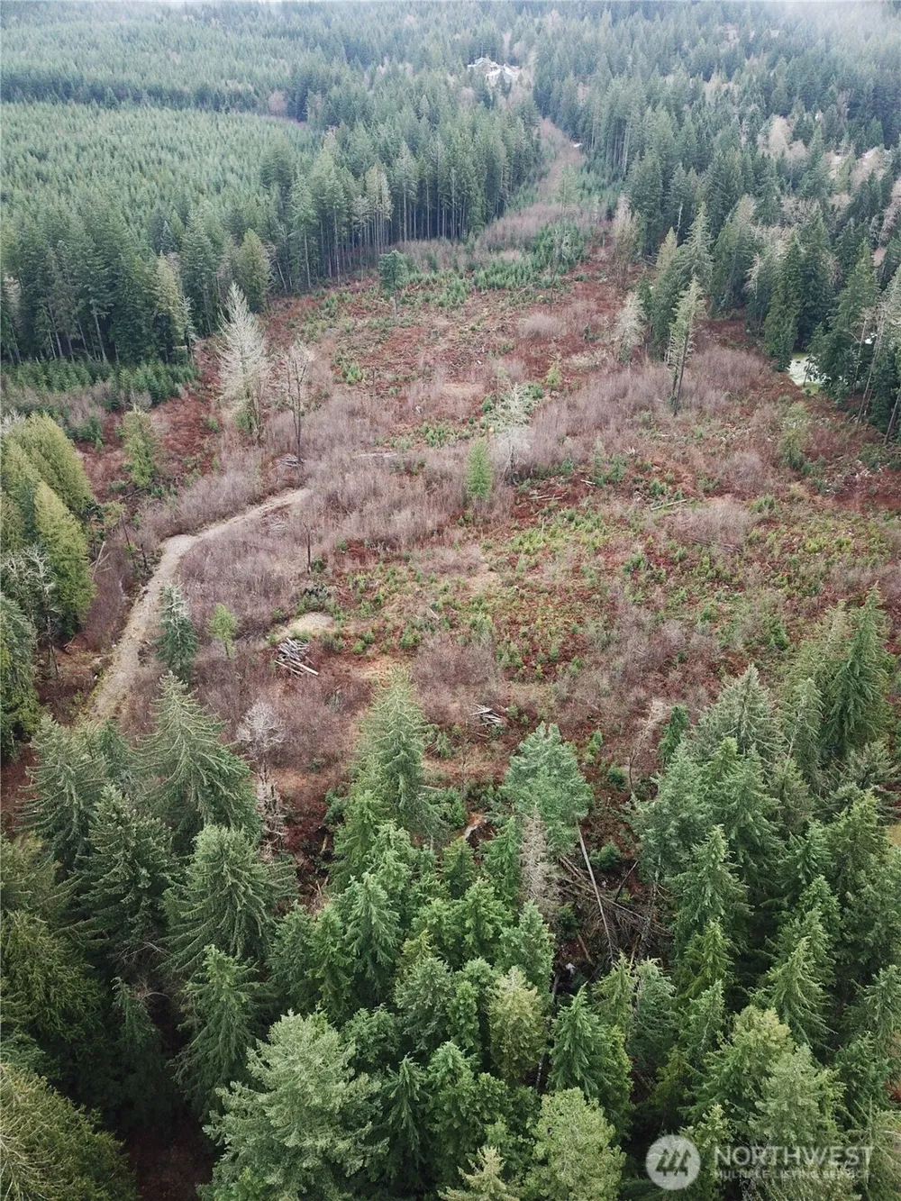 0 364th Avenue SE #9039 Maple Valley, WA 98038