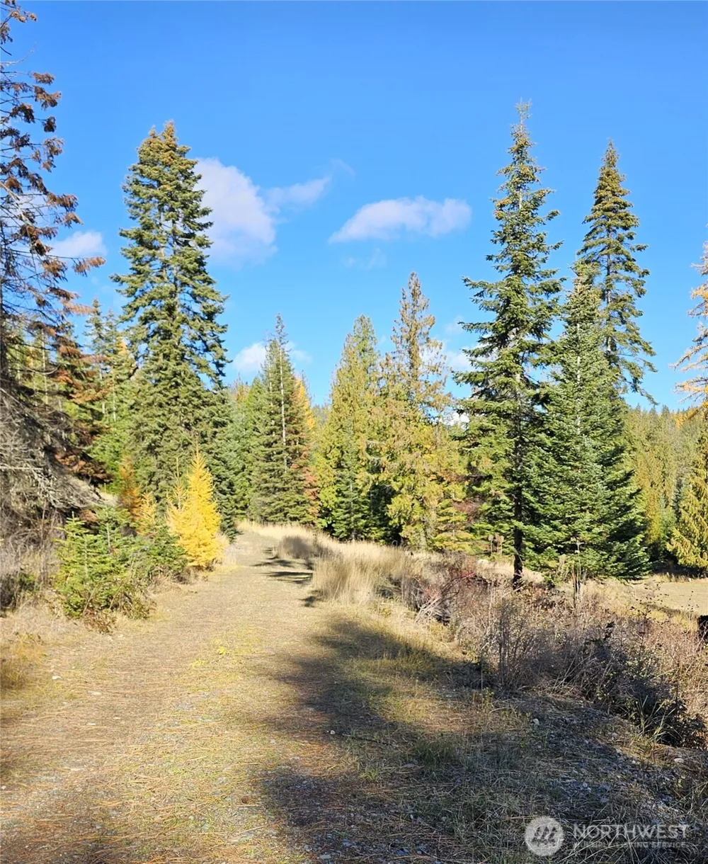 717 B Finley Gulch Road Colville, WA 99114