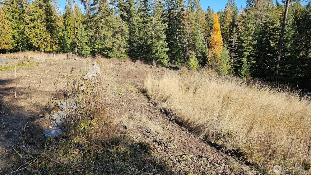 717 B Finley Gulch Road Colville, WA 99114