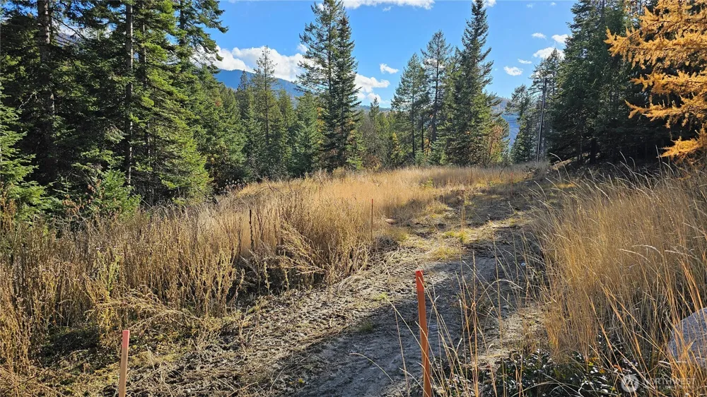 717 B Finley Gulch Road Colville, WA 99114