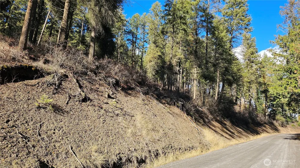 717 B Finley Gulch Road Colville, WA 99114