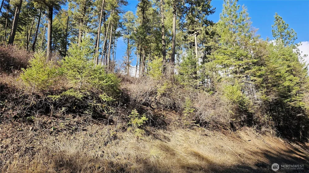 717 B Finley Gulch Road Colville, WA 99114