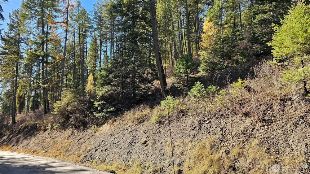717 B Finley Gulch Road Colville, WA 99114