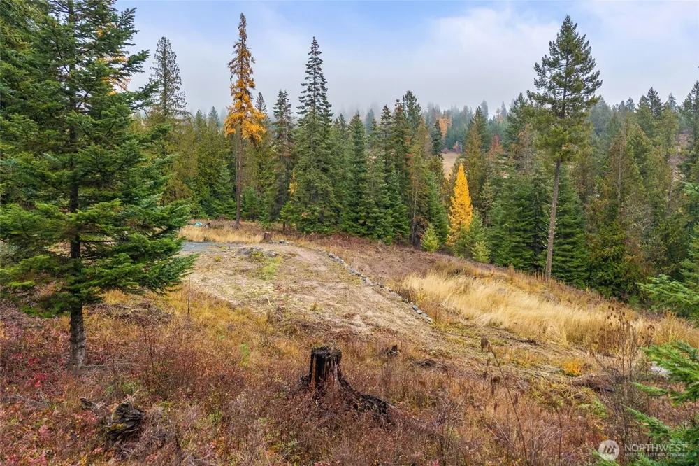 717 B Finley Gulch Road Colville, WA 99114