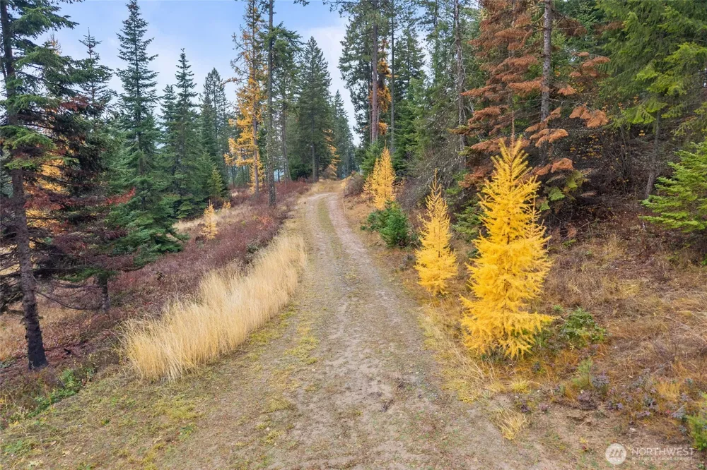 717 B Finley Gulch Road Colville, WA 99114