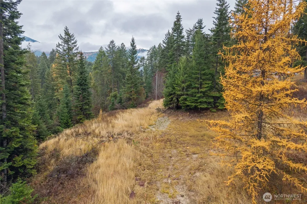 717 B Finley Gulch Road Colville, WA 99114