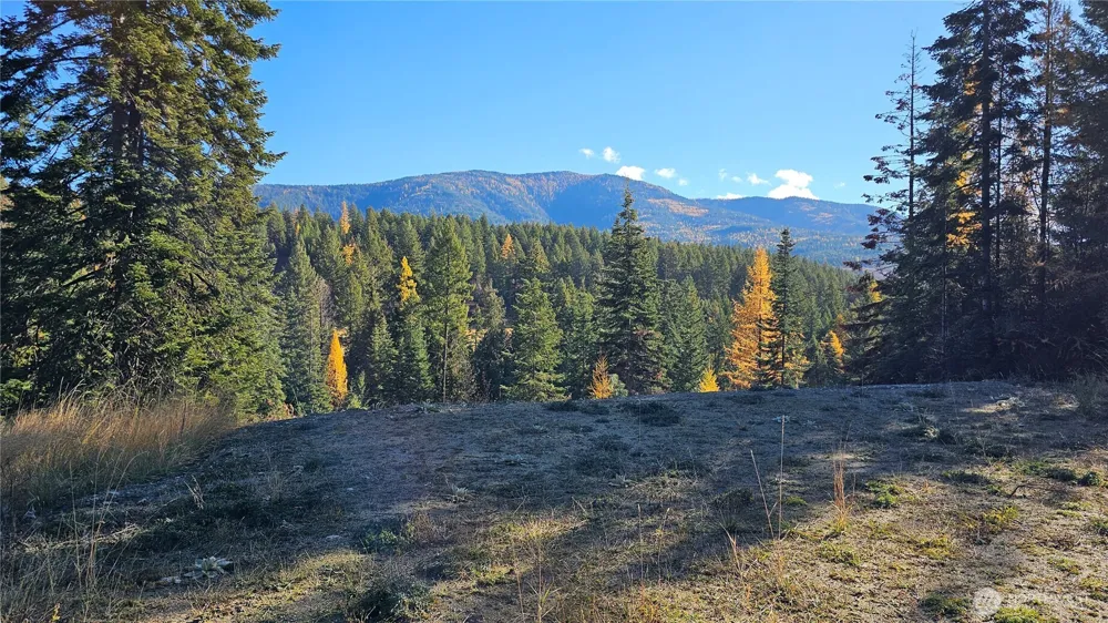 717 C Finley Gulch Rd. Colville, WA 99114