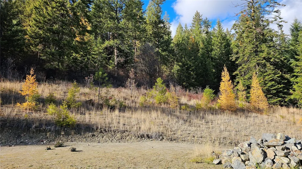 717 C Finley Gulch Rd. Colville, WA 99114