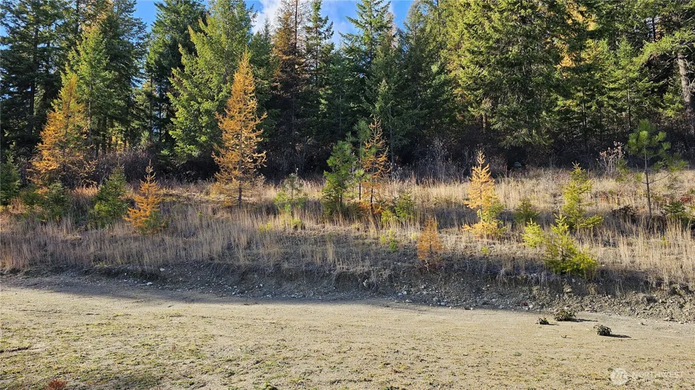 717 C Finley Gulch Rd. Colville, WA 99114