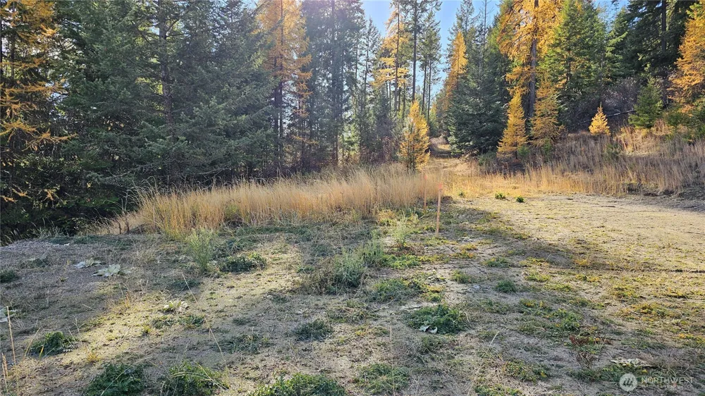 717 C Finley Gulch Rd. Colville, WA 99114