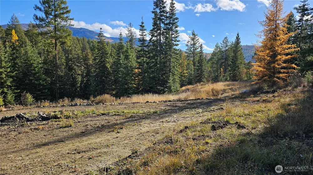 717 C Finley Gulch Rd. Colville, WA 99114