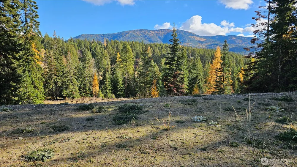 717 C Finley Gulch Rd. Colville, WA 99114