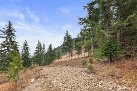 321 Innsbruck Drive