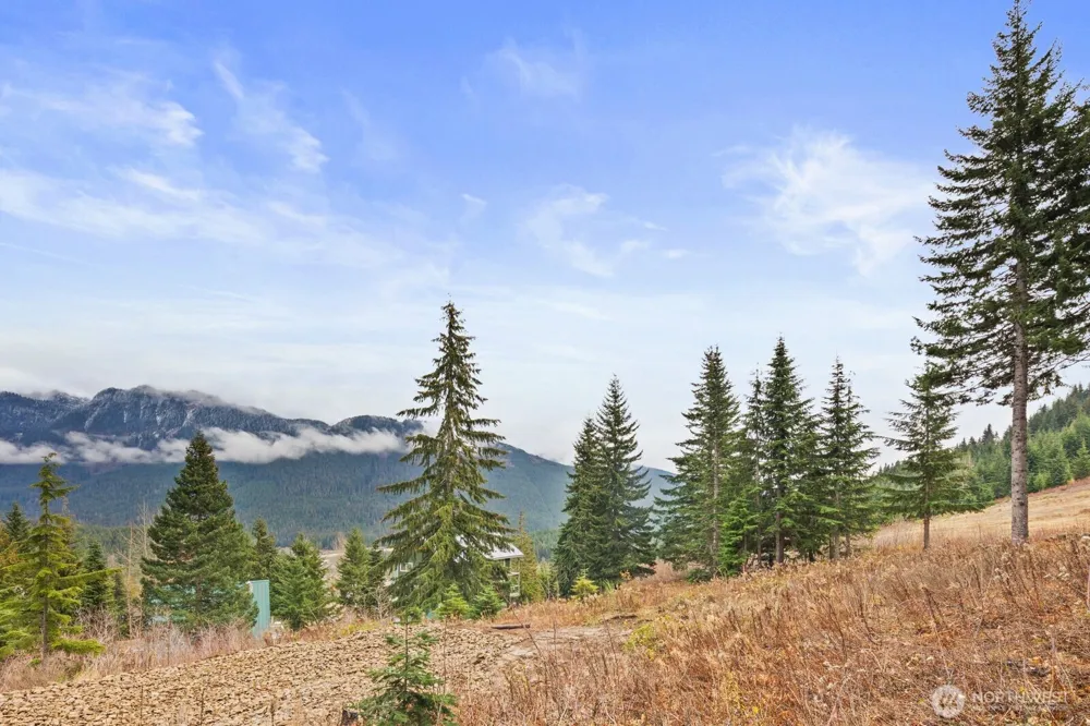 321 Innsbruck Drive Snoqualmie Pass, WA 98068