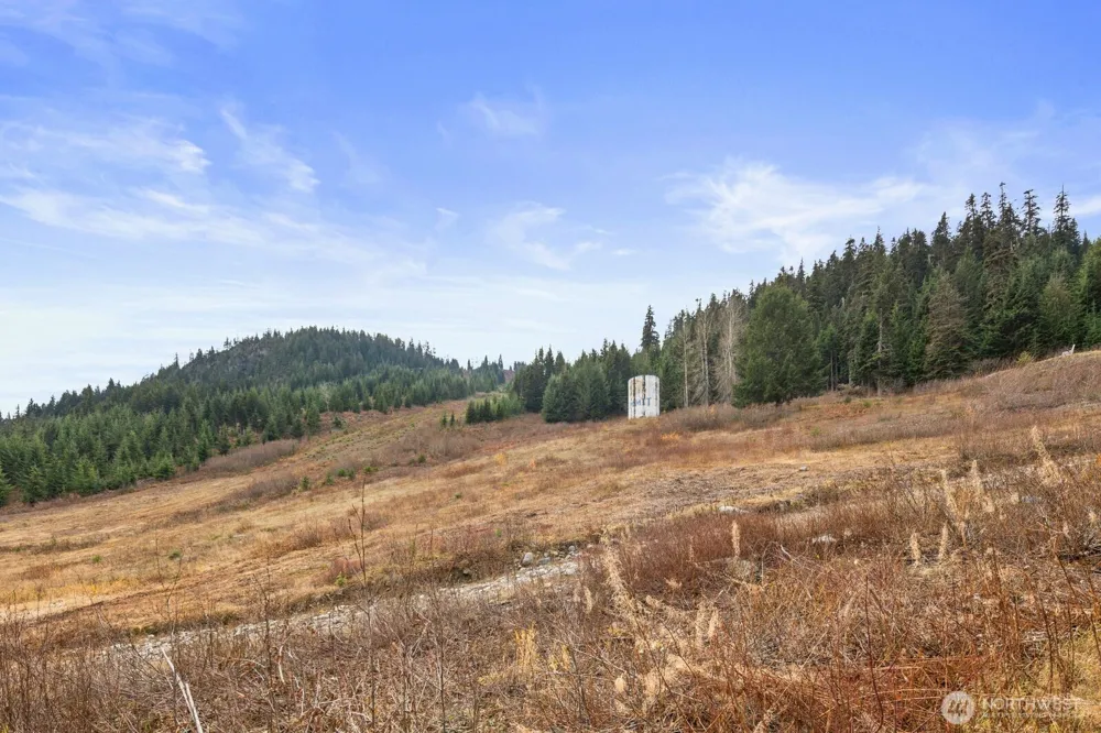 321 Innsbruck Drive Snoqualmie Pass, WA 98068