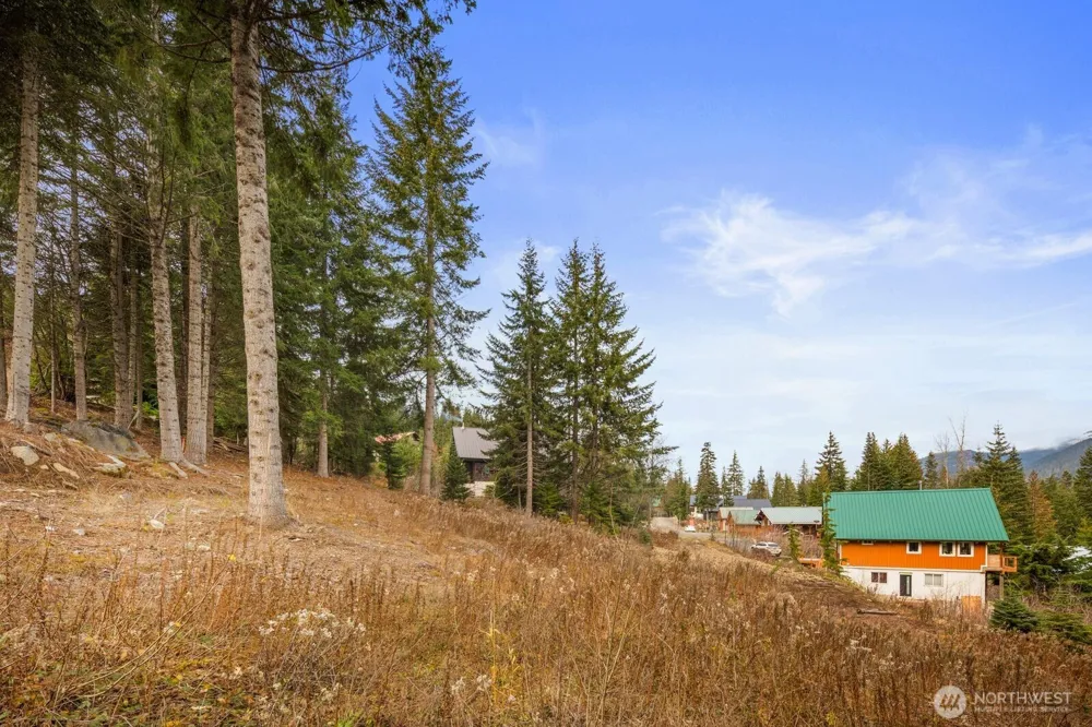 321 Innsbruck Drive Snoqualmie Pass, WA 98068