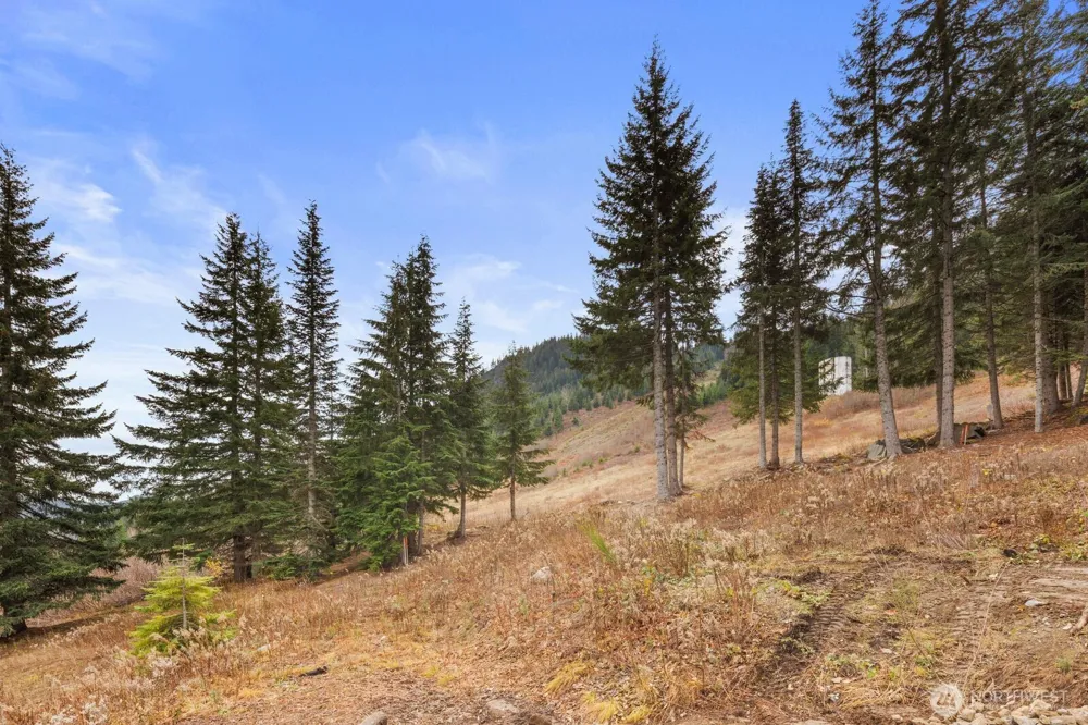 321 Innsbruck Drive Snoqualmie Pass, WA 98068