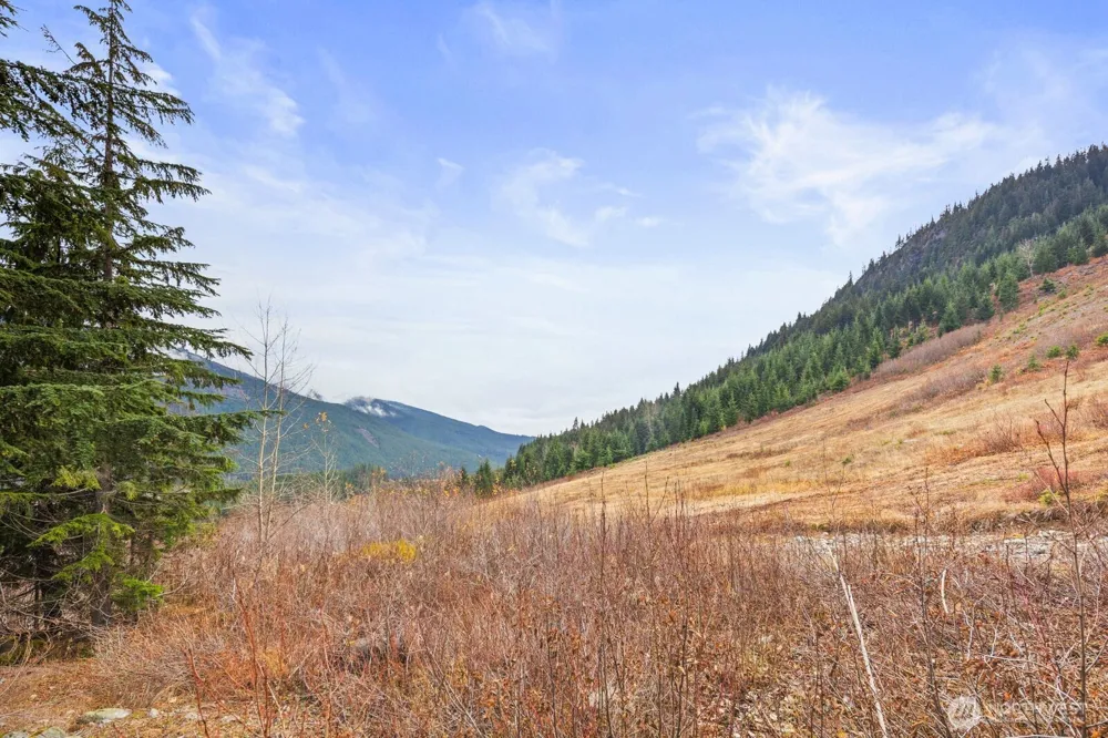 321 Innsbruck Drive Snoqualmie Pass, WA 98068