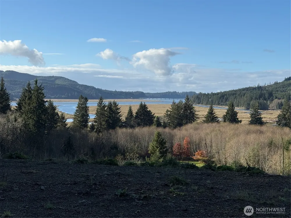 92 Dionne Lane Naselle, WA 98638