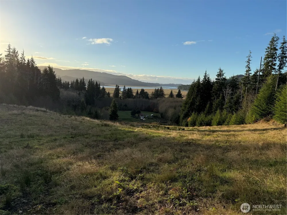 92 Dionne Lane Naselle, WA 98638