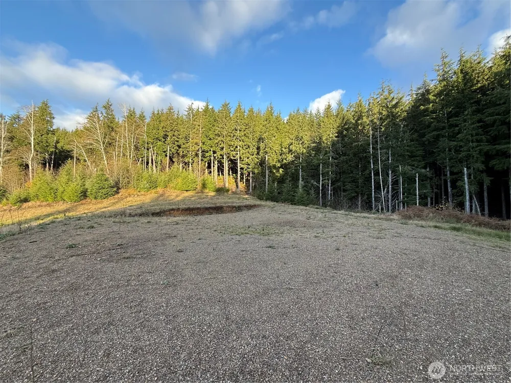 92 Dionne Lane Naselle, WA 98638
