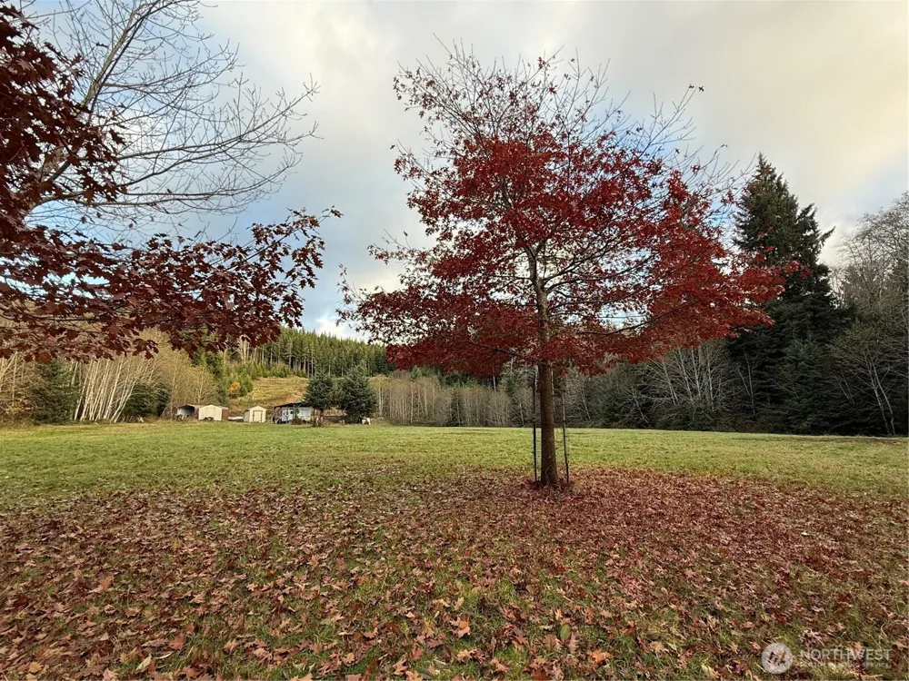 92 Dionne Lane Naselle, WA 98638
