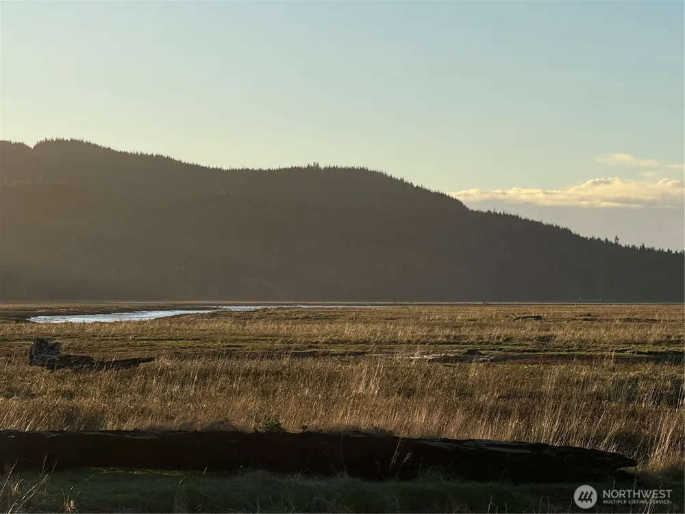 92 Dionne Lane Naselle, WA 98638