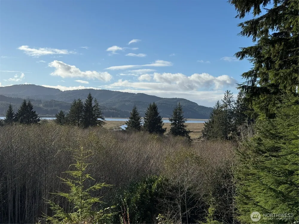 70 Dionne Lane Naselle, WA 98638