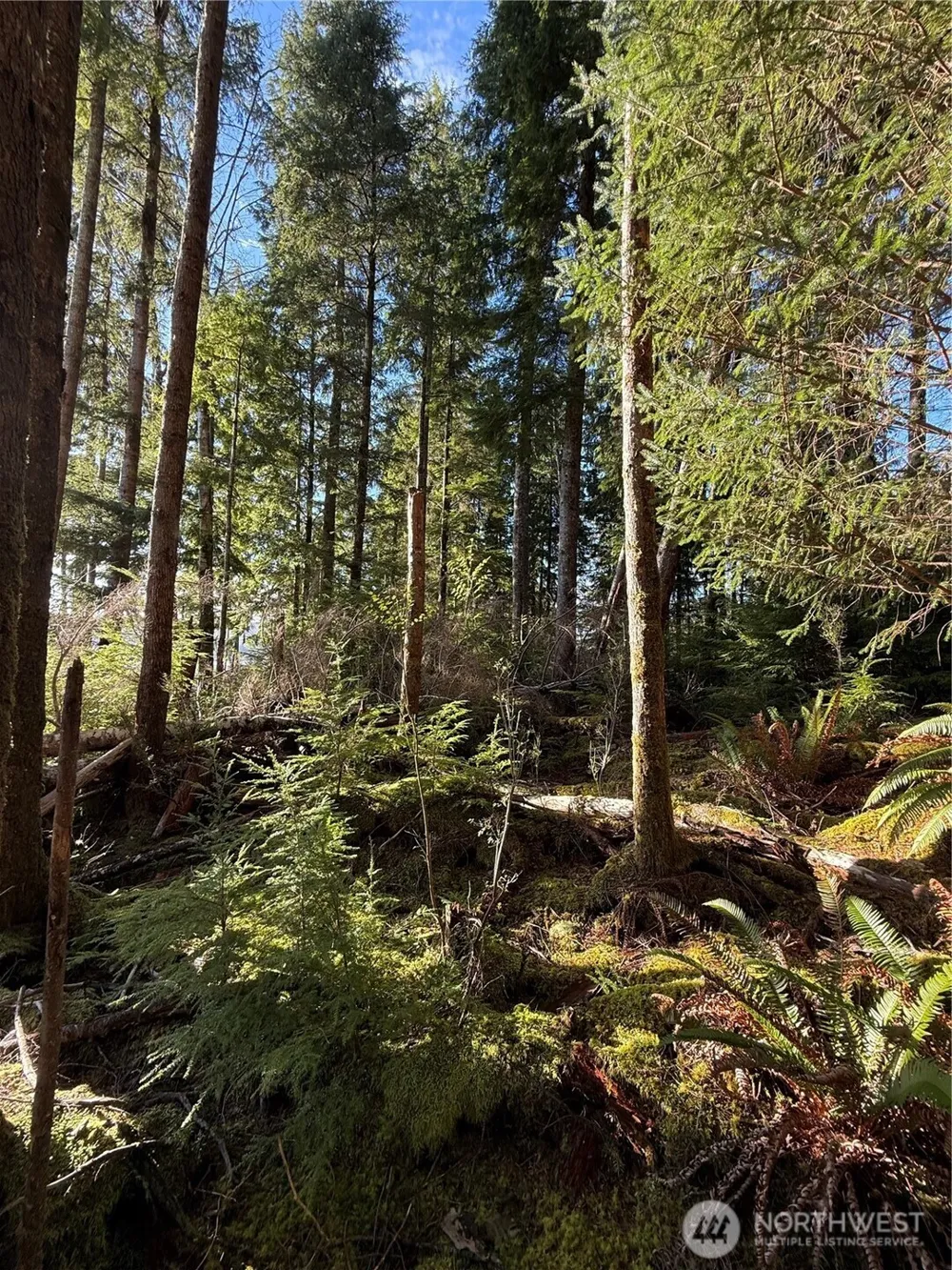 70 Dionne Lane Naselle, WA 98638