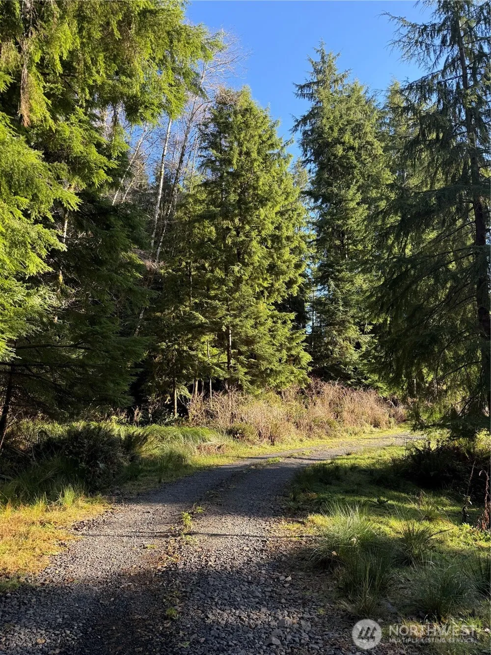 70 Dionne Lane Naselle, WA 98638