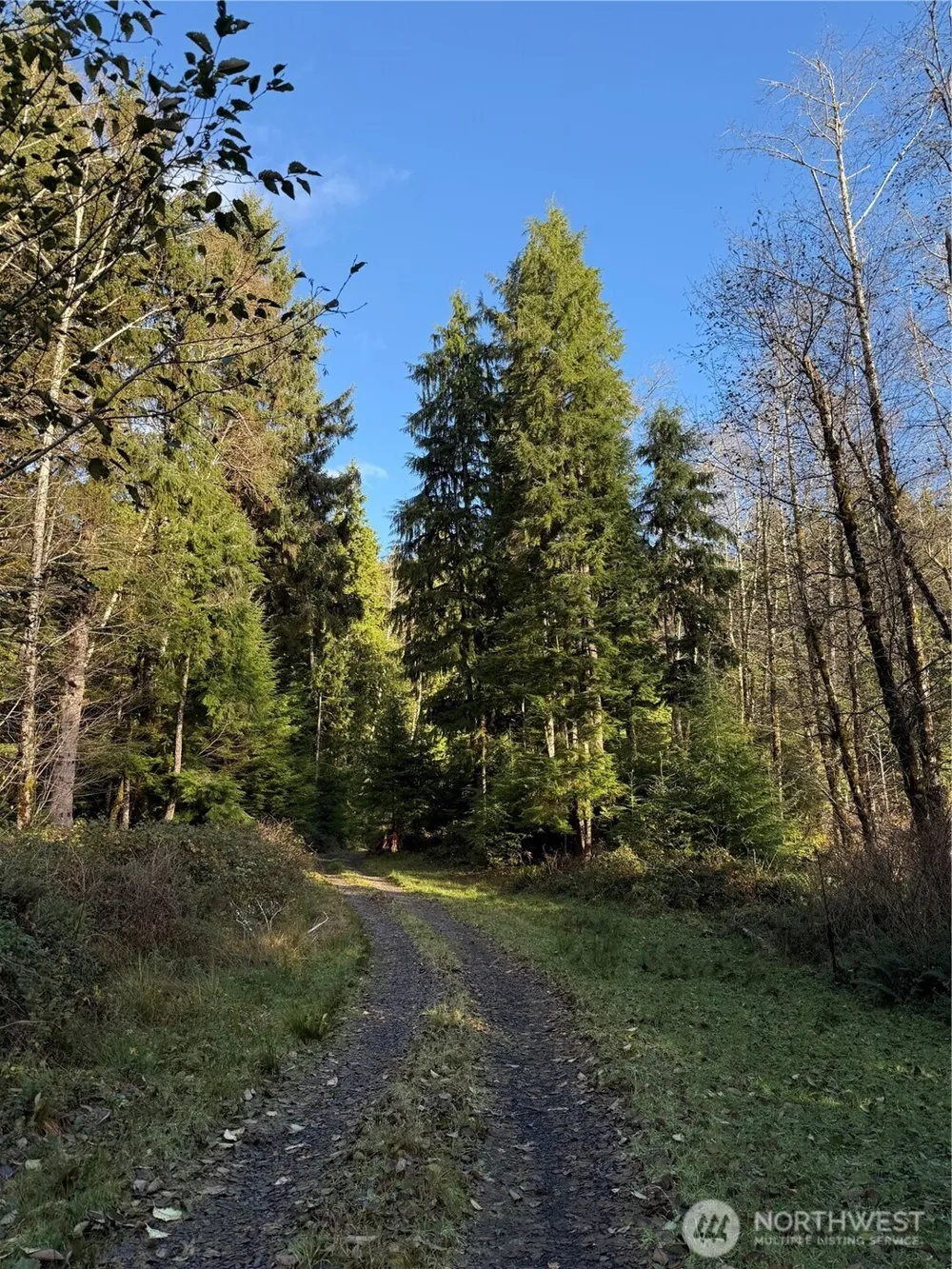 70 Dionne Lane Naselle, WA 98638