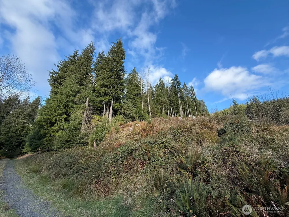 70 Dionne Lane Naselle, WA 98638