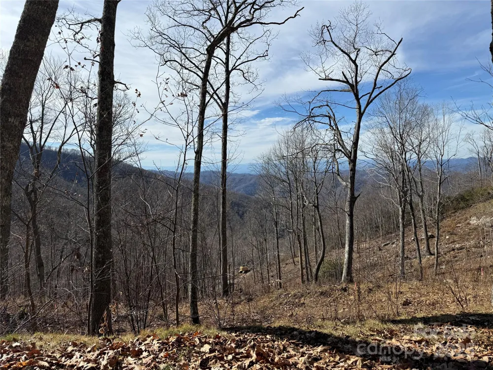 Lot 5 Slickrock Road Burnsville, NC 28714