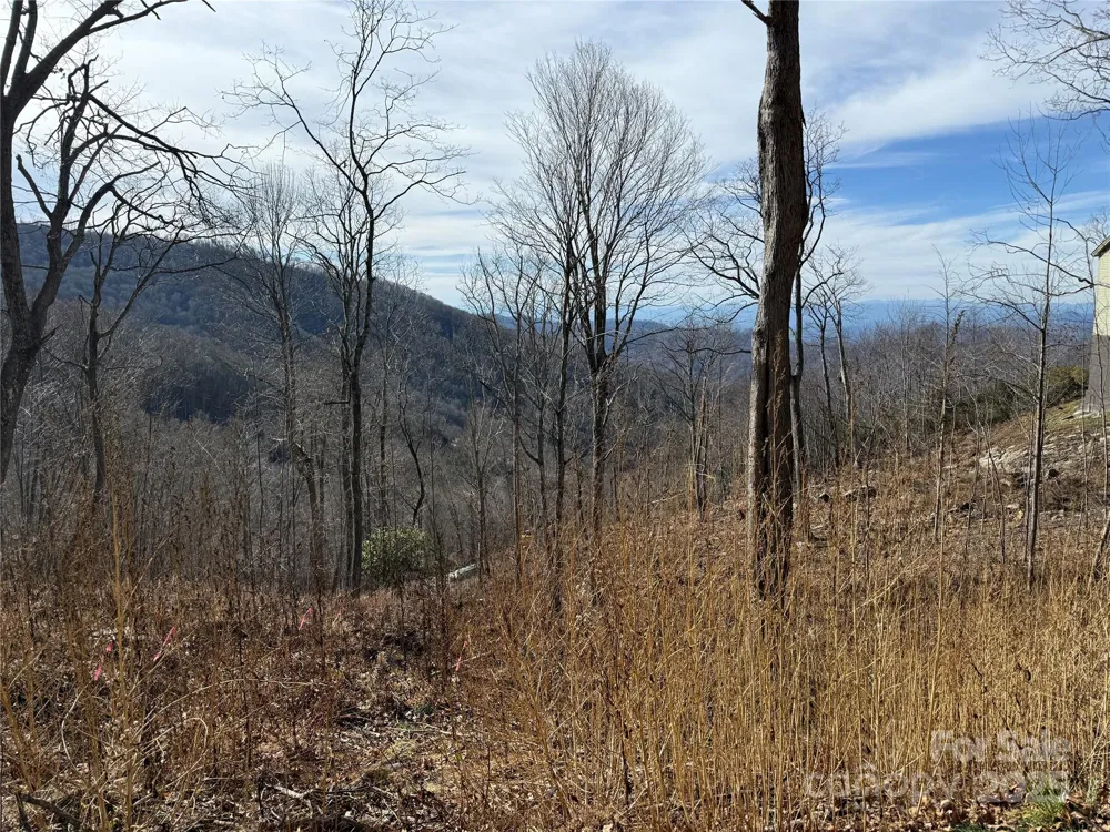 Lot 5 Slickrock Road Burnsville, NC 28714