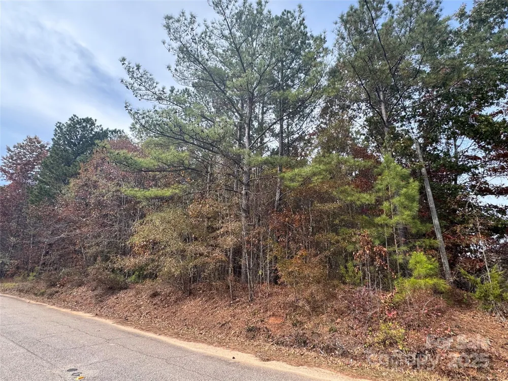 00 Russell Road Blackstock, SC 29014