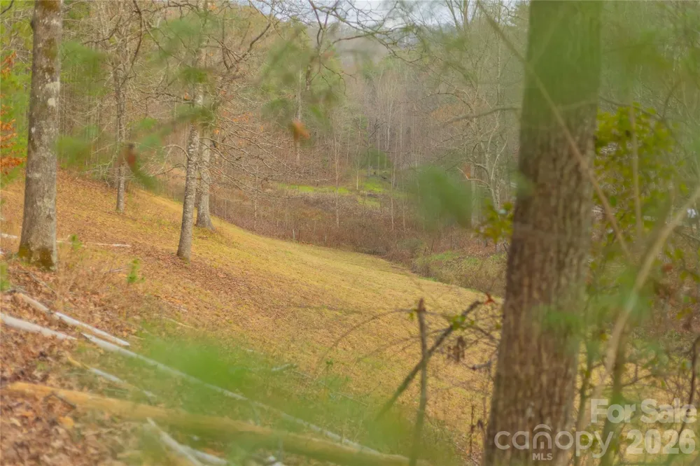 104 Robin Lane Bryson City, NC 28713