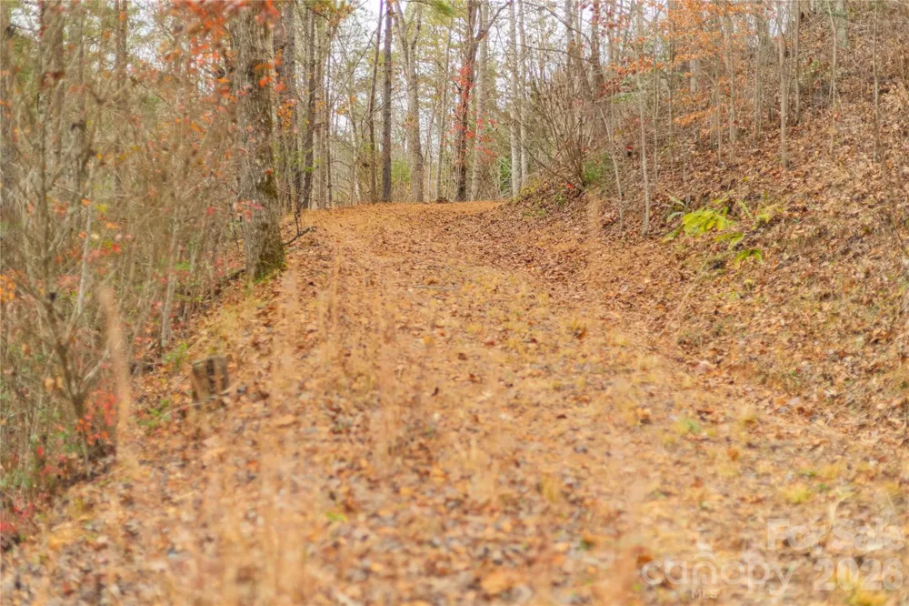104 Robin Lane Bryson City, NC 28713