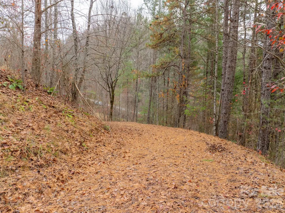 104 Robin Lane Bryson City, NC 28713